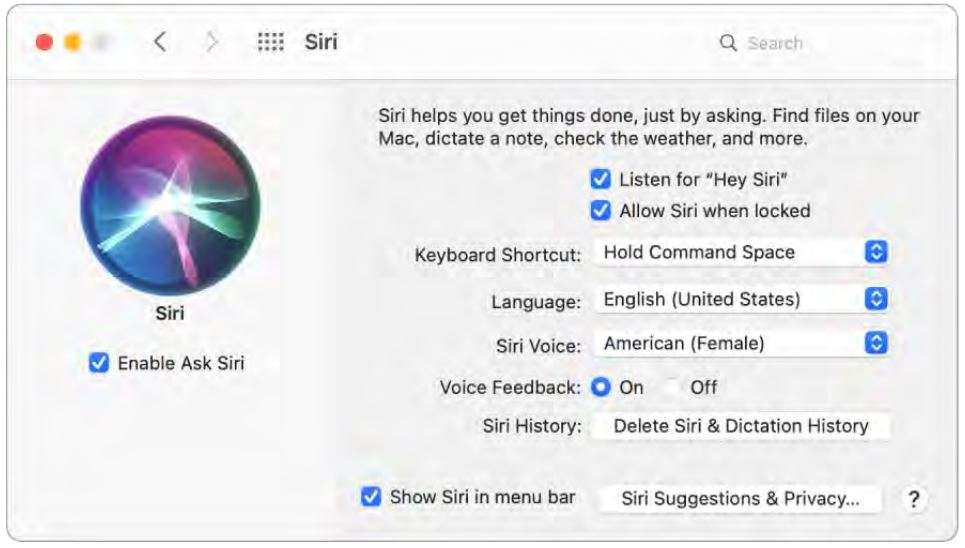 Apple MacBook Air Essentials User Manual - Enable Siri