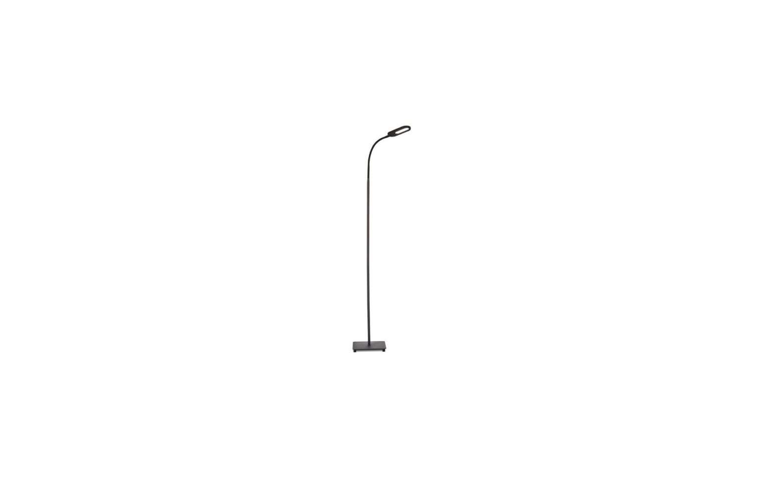 B K Licht Dimbaar Staande Lamp Instruction Manual - Featured image