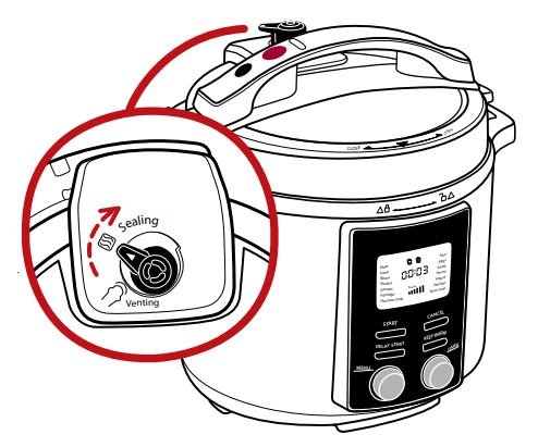 Gourmia GPC855 Pressure Cooker User Manual - FIG 10