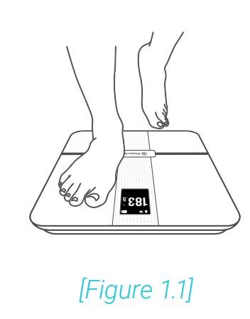 Etekcity Smart WiFi Body Fat Smart Fitness Scale User Manual - Figure 1.1