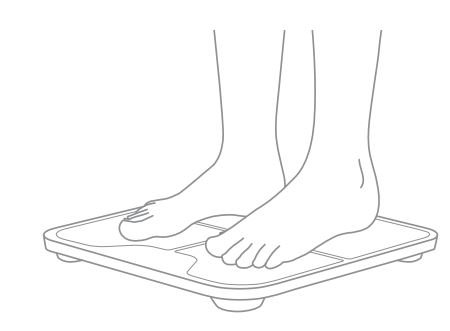 WYZE 400 lb Smart Scale for Body Weight User Manual - After the connection is established