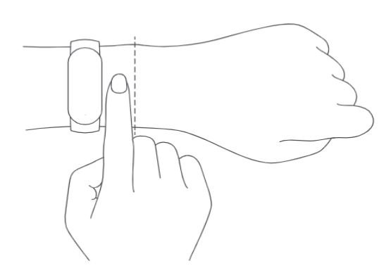 Xiaomi Mi Band 6 User Manual - Comfortably Tighten the band around your wrist about 1 finger