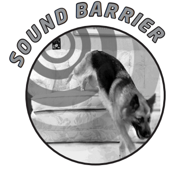 Power Pet Large Electronic Pet Door PX-2 User Manual - SOUND BARRIER